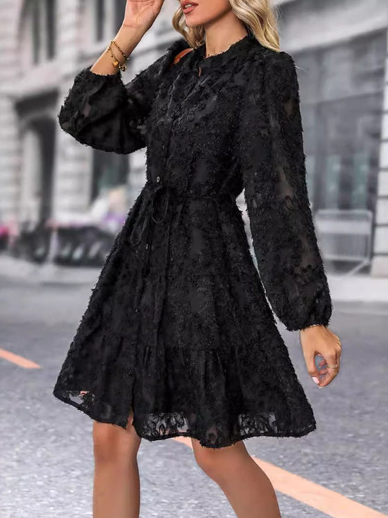 Lace Button Down Long Sleeve Mini Dress